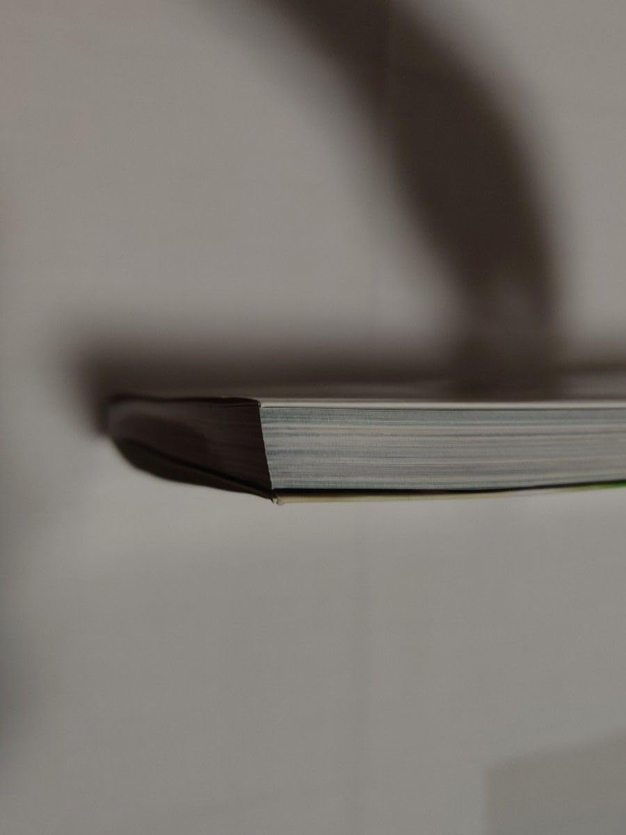 Amazon.co.jp: 伝説の美少女 西村理香 （サンワムック） 力武 靖 撮影